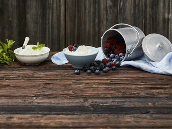 Betriebsbesichtigung_Neue Napfmilch AG_Hergiswil_Quark_EN.jpg