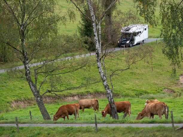 Reisemobilstellplatz Brögger Obermarpe