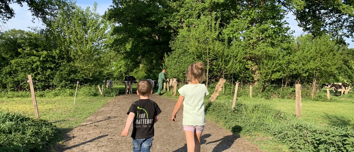 Hof Schatteburg Zwei Kinder gehen einen Feldweg entlang, vorbei an grünen Wiesen mit Kühen unter hohen Bäumen.