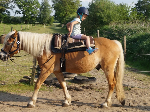 Kind mit Reithelm sitzt auf einem braunen Pony auf dem Hofgelände.