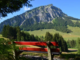 Bänkli mit fantastischer Aussicht auf dem Schimbrig.