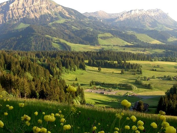 Aussicht Flachmoor Finsterwald und Bohrplattform