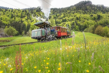 %C2%A9RIGI%20BAHNEN%20AG_Fotograf%20Sascha%20Kr%C3%A4henb%C3%BChl%20(146)%20(2).jpg
