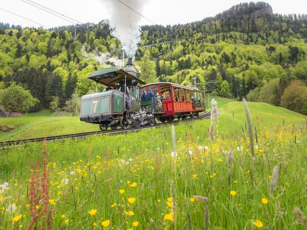 %C2%A9RIGI%20BAHNEN%20AG_Fotograf%20Sascha%20Kr%C3%A4henb%C3%BChl%20(146)%20(2).jpg