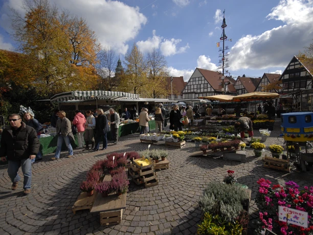 Wochenmarkt in Bad Salzuflen mit Blumenständen, Besuchern und Fachwerkhäusern