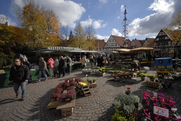 Wochenmarkt Bad Salzuflen