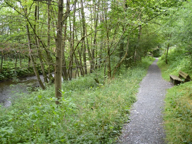 RuhrtalSpazierweg_146 (Foto Hennesee-Tourismus).JPG