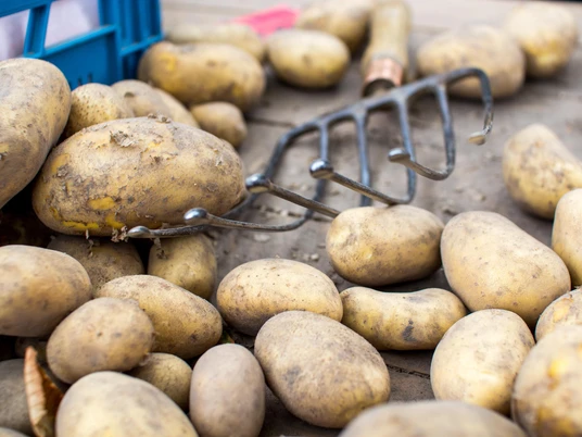Wochenmarkt Martinikirchhof