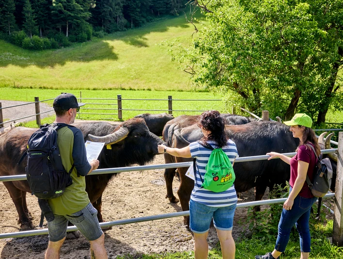 Wasserbüffel_FoodTrail_Marbach_Beat Brechbühl.jpg