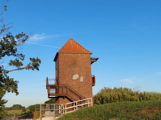 Landschaftsfenster Tange.jpg Das Bild zeigt einen Backsteinturm mit einem spitzen, roten Ziegeldach. Der Turm ist mit hölzernen Treppen und Geländern umgeben, die Besucher zur Aussichtsplattform führen. Links im Vordergrund steht ein großer Baum, und im Hintergrund erstreckt sich die Landschaft unter einem klaren blauen Himmel. Der Turm befindet sich in einer grünen Umgebung, die auf die ländliche Idylle der Region hindeutet.