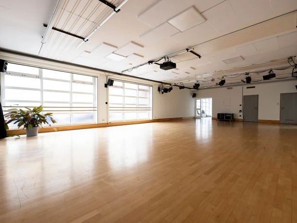 Un-Label Bright dance room with large windows, light brown wooden floor, plant decor on the sides and ceiling lighting.
