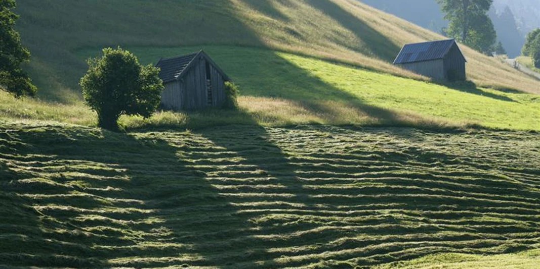 Wiesmahdweg, (C) Mathias Neubauer.jpg