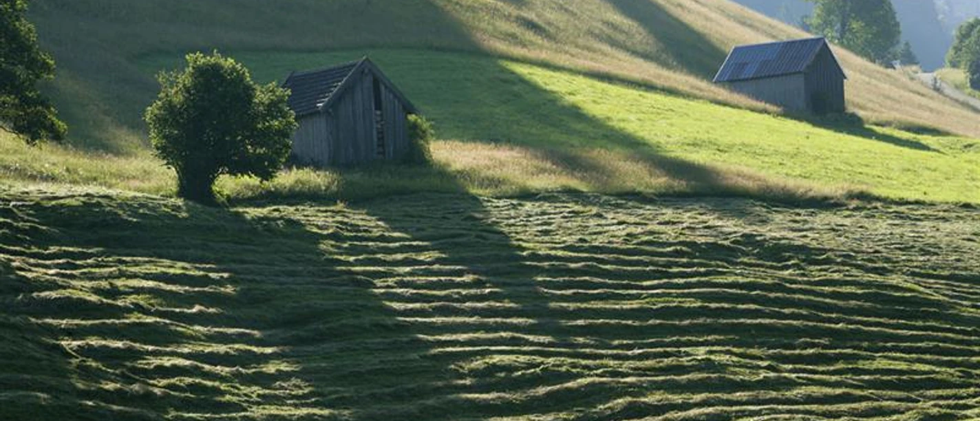 Wiesmahdweg, (C) Mathias Neubauer.jpg