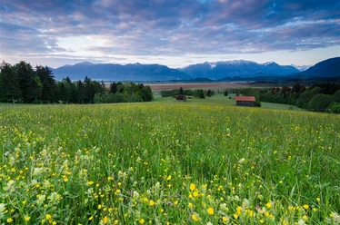 Murnauer Moos, (C) Simon Bauer.jpg