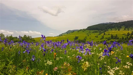 Pulvermoos, (C) Florian Leischer.jpg
