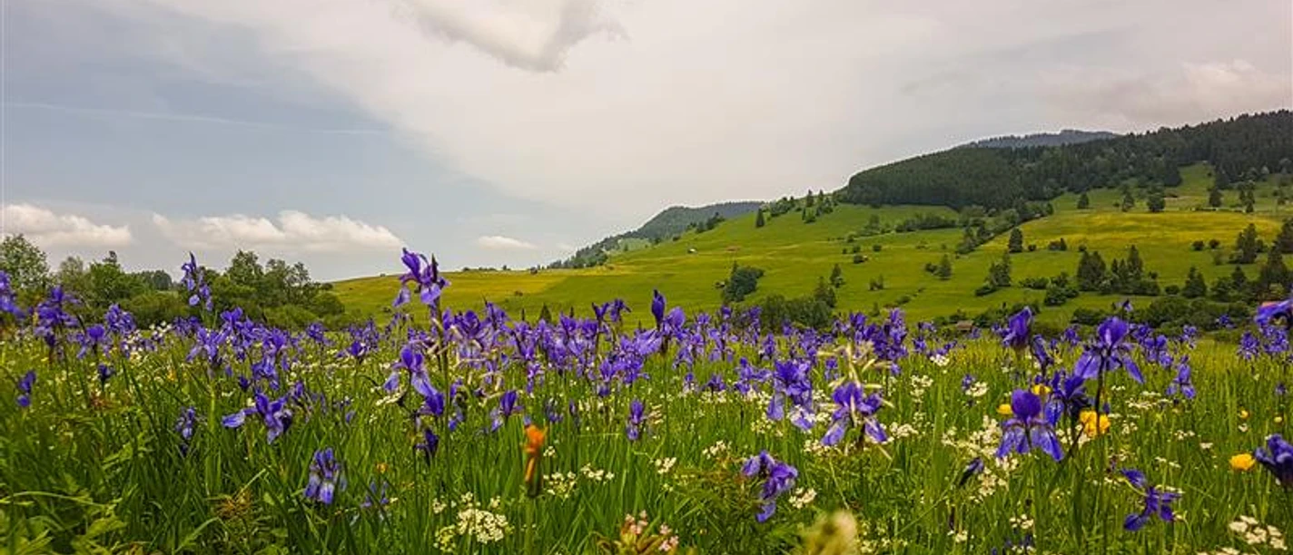 Pulvermoos, (C) Florian Leischer.jpg