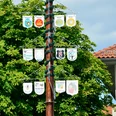 Maibaum Gifhorn.jpg