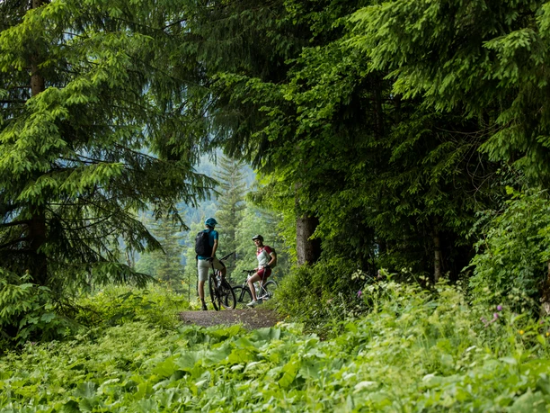 E-Bike RadKulTouren Zwei E-Biker pausieren auf einem Waldweg zwischen dichten grünen Bäumen