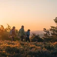 Wandergruppe-Rückansicht-Heide-Sonnenuntergang c) Jonas Dülberg, Tourist-Info Willingen.jpg