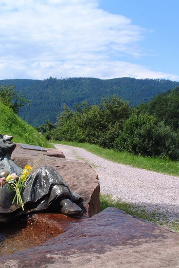 Hexenbrunnen Gausbach