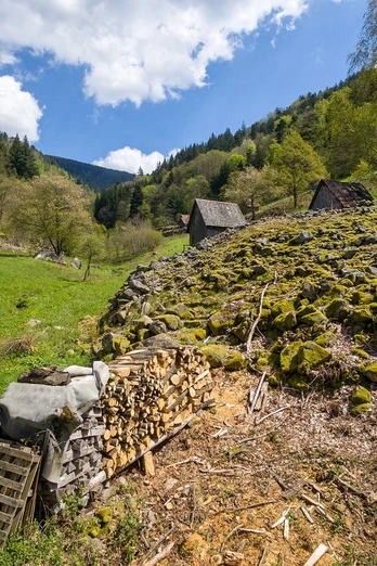 Kauersbachtal bei Forbach