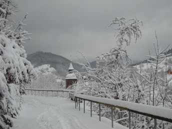 Promenadeweg in Oppenau