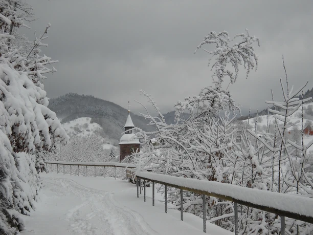 Promenadeweg in Oppenau