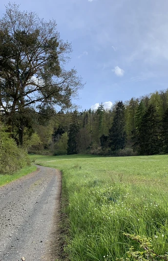 Unterwegs auf dem Spicke Rundweg 2 bei Edertal-Kleinern