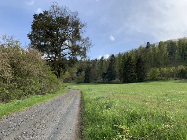 Unterwegs auf dem Spicke Rundweg 2 bei Edertal-Kleinern
