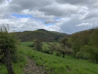 Unterwegs auf dem Spicke Rundweg 2 bei Edertal-Kleinern mit Blick ins Kesselbachtal