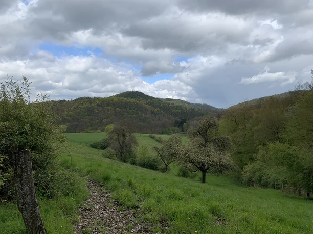 Unterwegs auf dem Spicke Rundweg 2 bei Edertal-Kleinern mit Blick ins Kesselbachtal