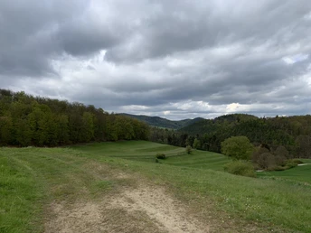 Unterwegs auf dem Spicke Rundweg 2 bei Edertal-Kleinern