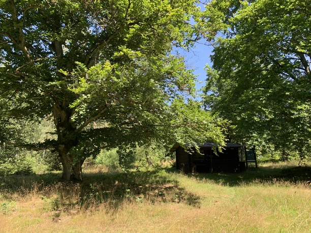 Paradies bei Edertal-Gellershausen