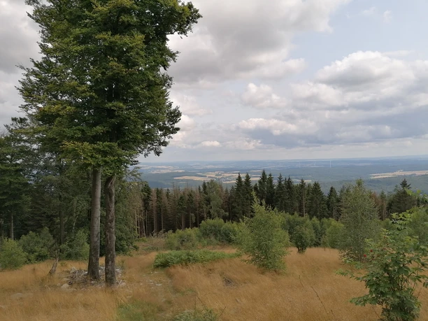 Ausblick vom Wüstegarten