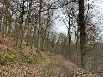 Unterwegs auf dem Lorfetal Rundweg 3