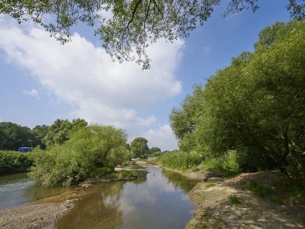 Die Werre im Sielpark Flusslauf der Werre, umgeben von grünen Bäumen und einem klaren blauen Himmel im Sielpark.