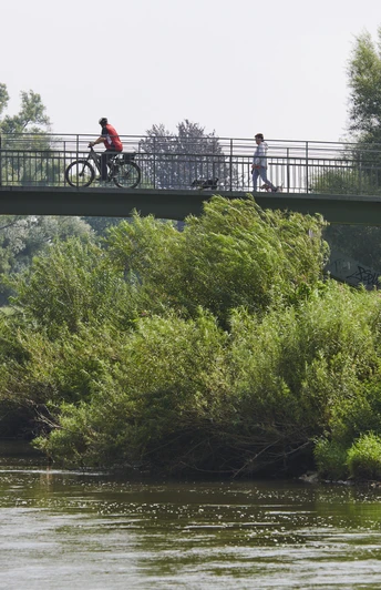Brücke Sielpark Eine Metallbrücke überspannt einen ruhigen Fluss, während Bäume und Büsche die Umgebung säumen.