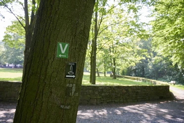 Wegemarkierung im Siekertal Eine grüne Wegemarkierung an einem Baum im Siekertal, nahe einem Pfad durch den lichten Wald.