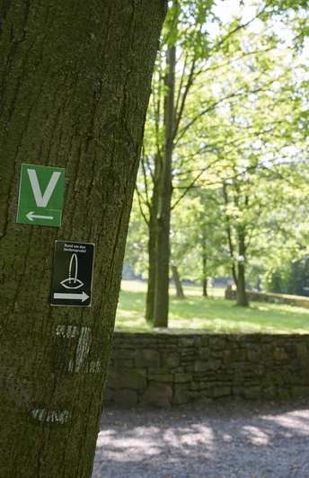 Wegemarkierung im Siekertal Eine grüne Wegemarkierung an einem Baum im Siekertal, nahe einem Pfad durch den lichten Wald.