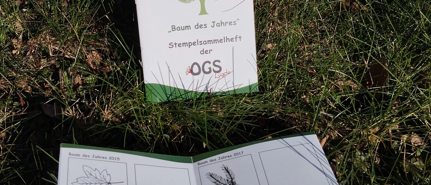 Ein Stempelsammelheft „Baum des Jahres“ liegt geöffnet im Gras neben einem Baumstamm.