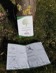 Stemmpelheft_baum_des_Jahres_ogs.jpg Ein Stempelsammelheft „Baum des Jahres“ liegt geöffnet im Gras neben einem Baumstamm.