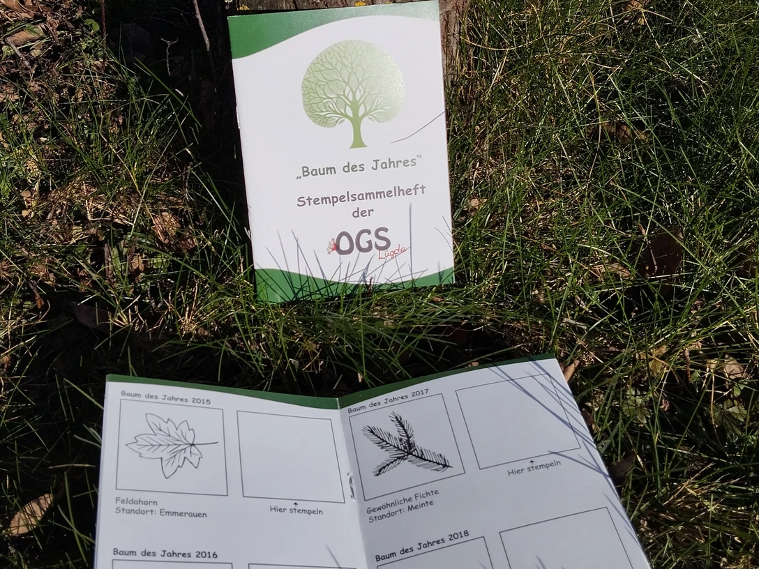 Stemmpelheft_baum_des_Jahres_ogs.jpg Ein Stempelsammelheft „Baum des Jahres“ liegt geöffnet im Gras neben einem Baumstamm.