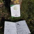 Stemmpelheft_baum_des_Jahres_ogs.jpg Ein Stempelsammelheft „Baum des Jahres“ liegt geöffnet im Gras neben einem Baumstamm.