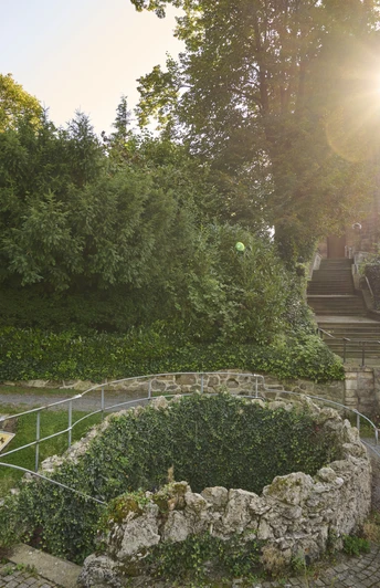 Eine malerische Lichtung mit einem historischen Brunnen, umgeben von dichten Bäumen und Stufen.