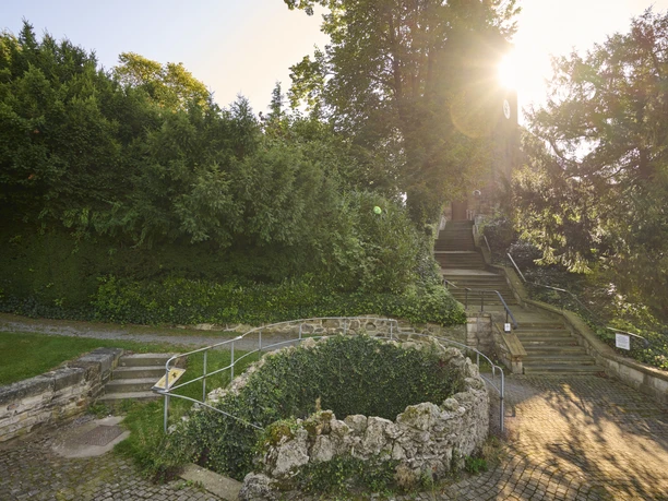 Bergkirchen Wittekindquelle Eine malerische Lichtung mit einem historischen Brunnen, umgeben von dichten Bäumen und Stufen.