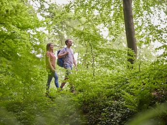 Zwei Personen wandern auf einem Waldpfad, umgeben von dichtem Grün und hohen Bäumen.