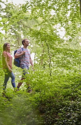 Zwei Personen wandern auf einem Waldpfad, umgeben von dichtem Grün und hohen Bäumen.