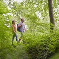 Wandern Zwei Personen wandern auf einem Waldpfad, umgeben von dichtem Grün und hohen Bäumen.