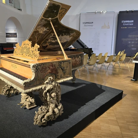 staedtisches-museum-BS-art-case-piano-beate-ziehres.jpg