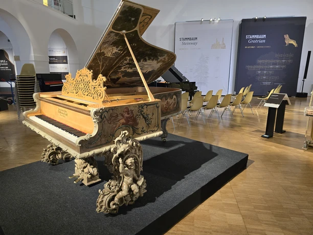 staedtisches-museum-BS-art-case-piano-beate-ziehres.jpg